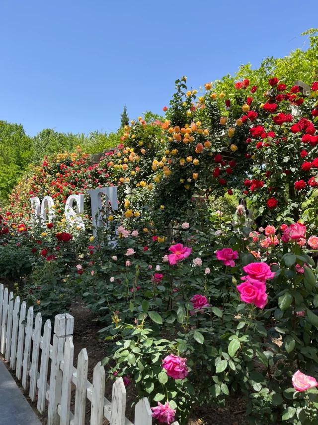 河南郑州周边最美自驾游,郑州最美短途自驾游路线攻略