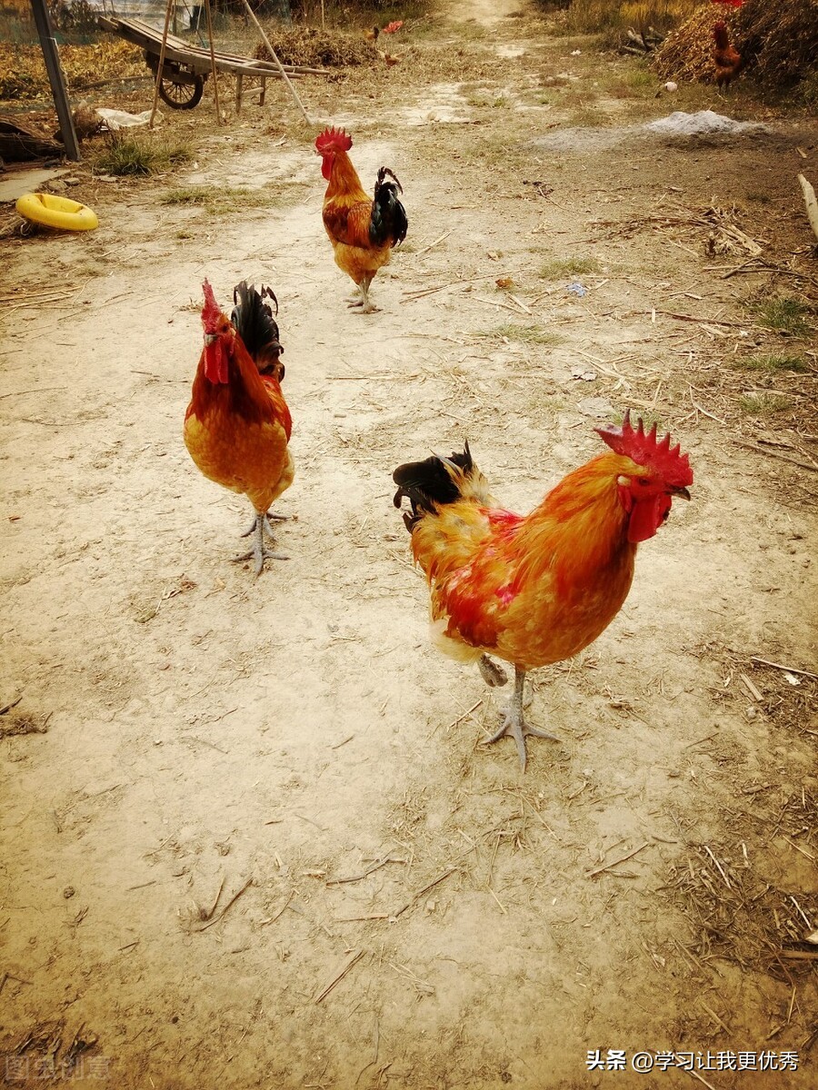 如何避免忧郁消极情绪,60岁负面情绪太重怎么办