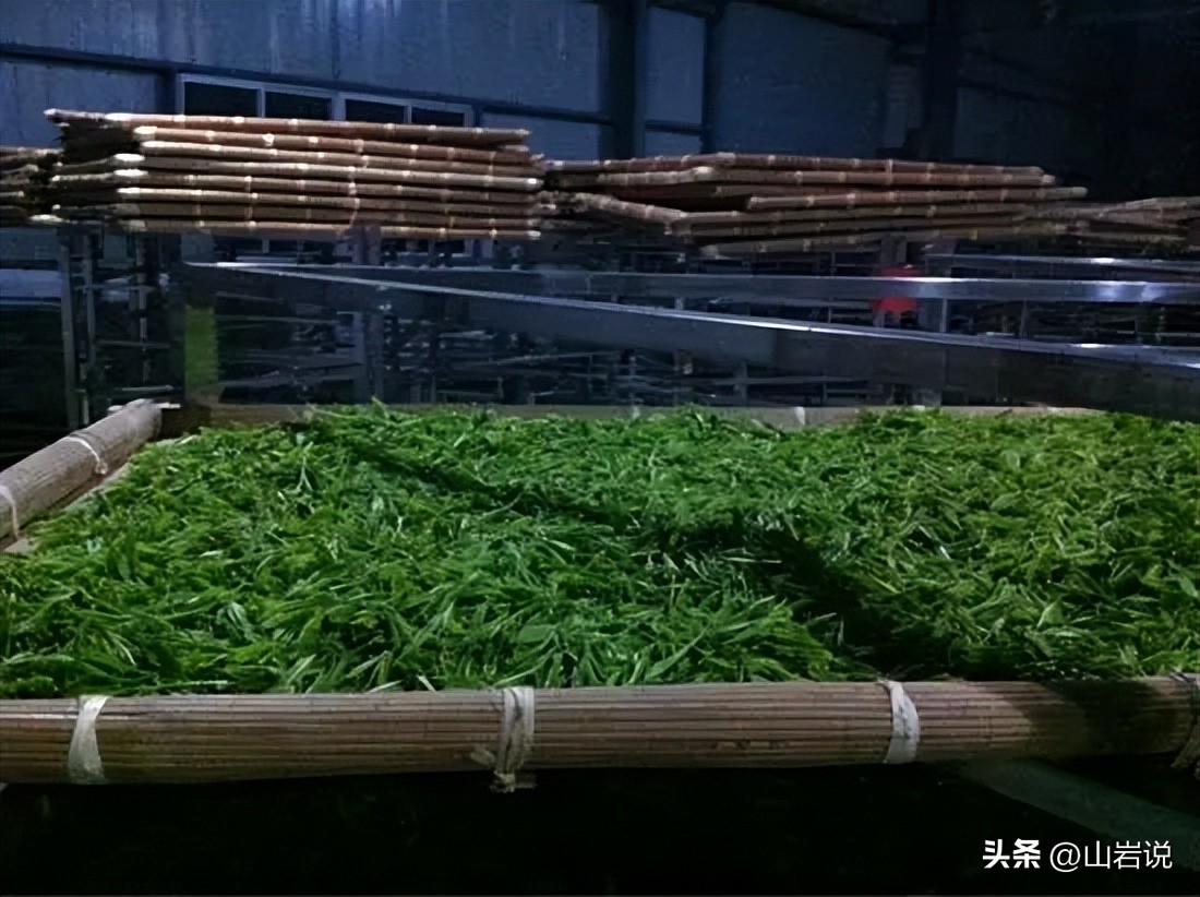 中国茶史,中国茶史书