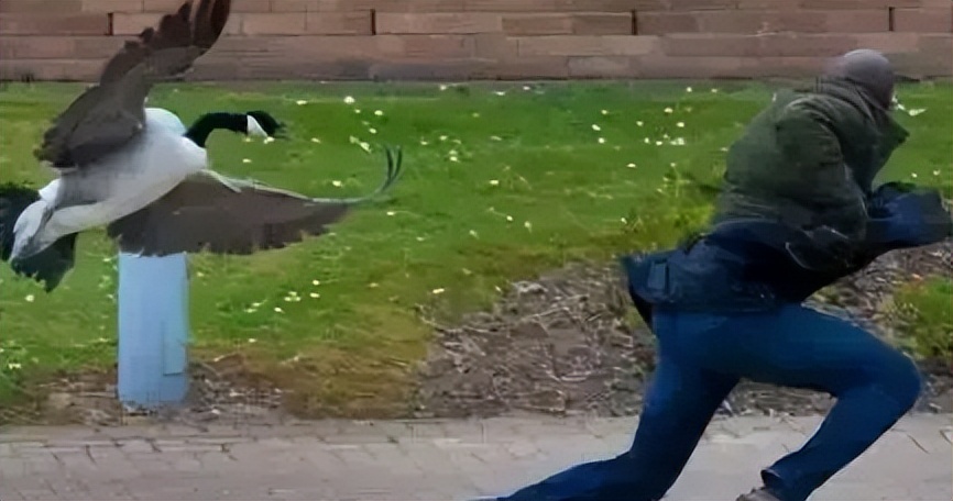 英国华威大学qs世界排名排第几,最新华威大学排名