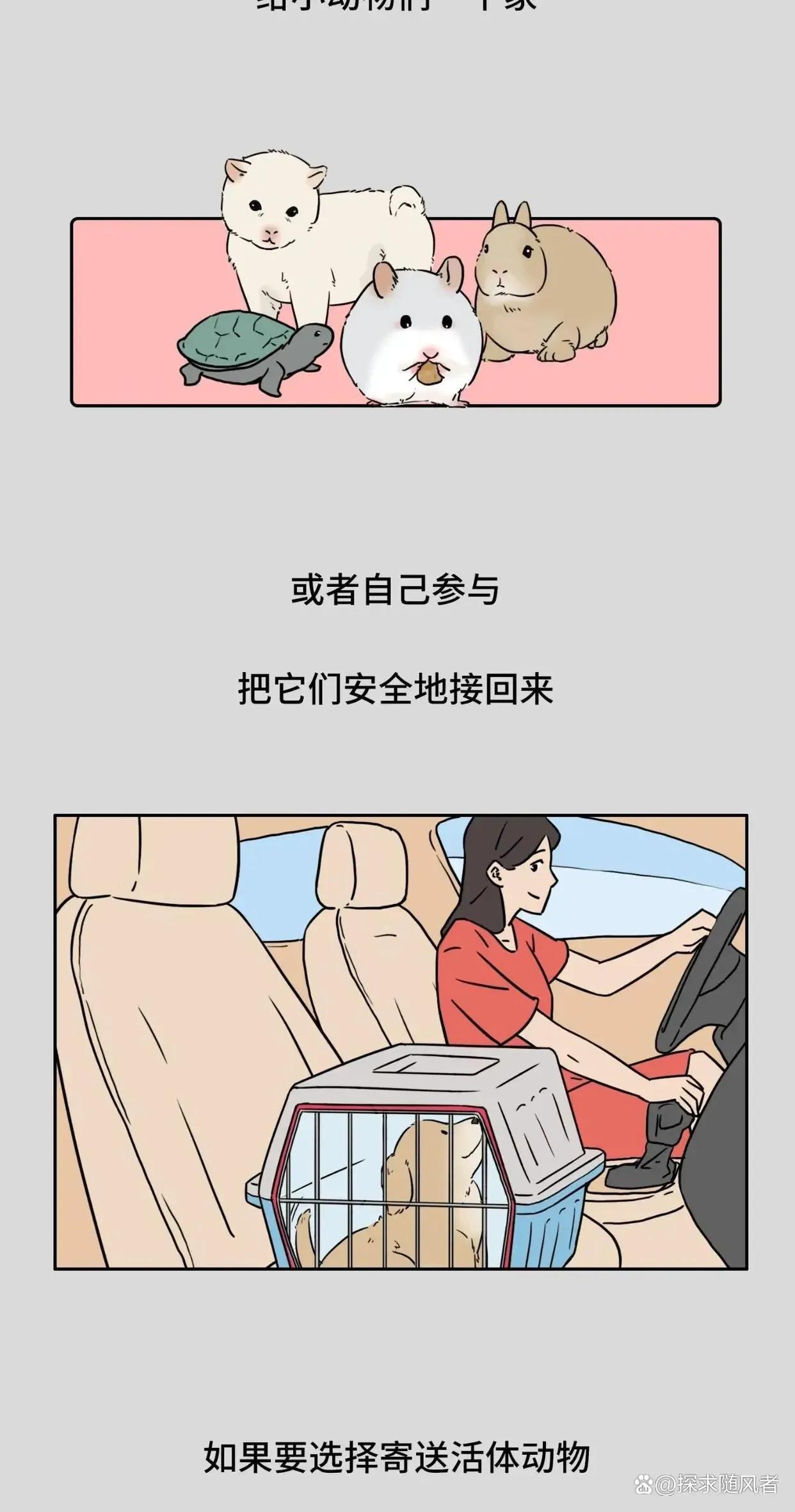 救救我我不想死日语,救救我漫画免费观看