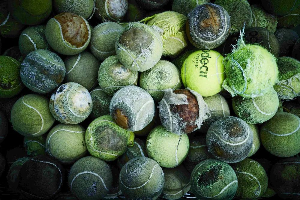 云南这群00后，就该全网吹！