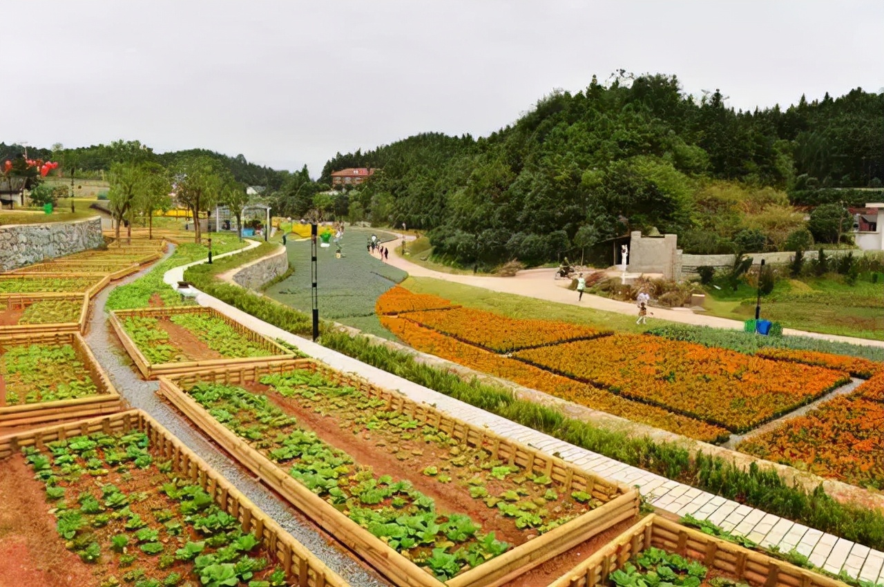 长沙美丽乡村附近有什么好玩的,长沙近郊自驾游最新十大景点