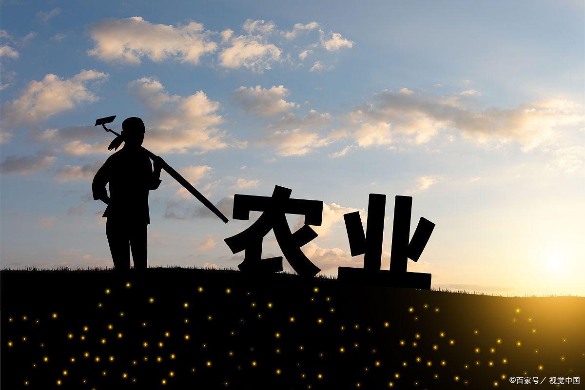 2023年农业的新政策补贴,2023年农业综合补贴政策