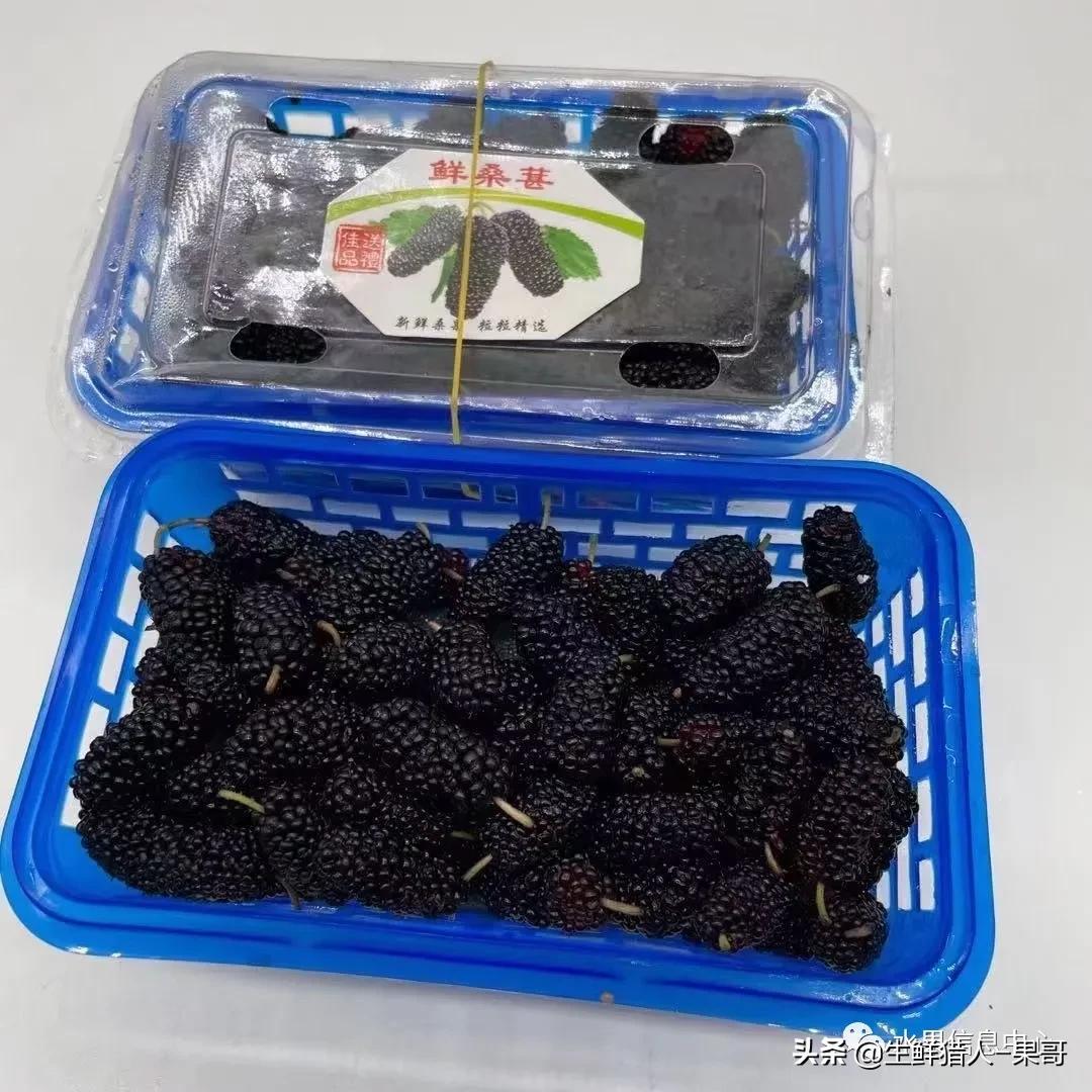 在水果中浆果是分哪几种,水果分类浆果