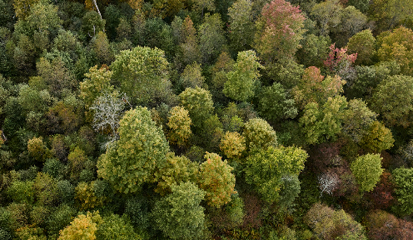 美驻华使馆炫耀：美国空气变好中国网友用俄亥俄图片砸场子
