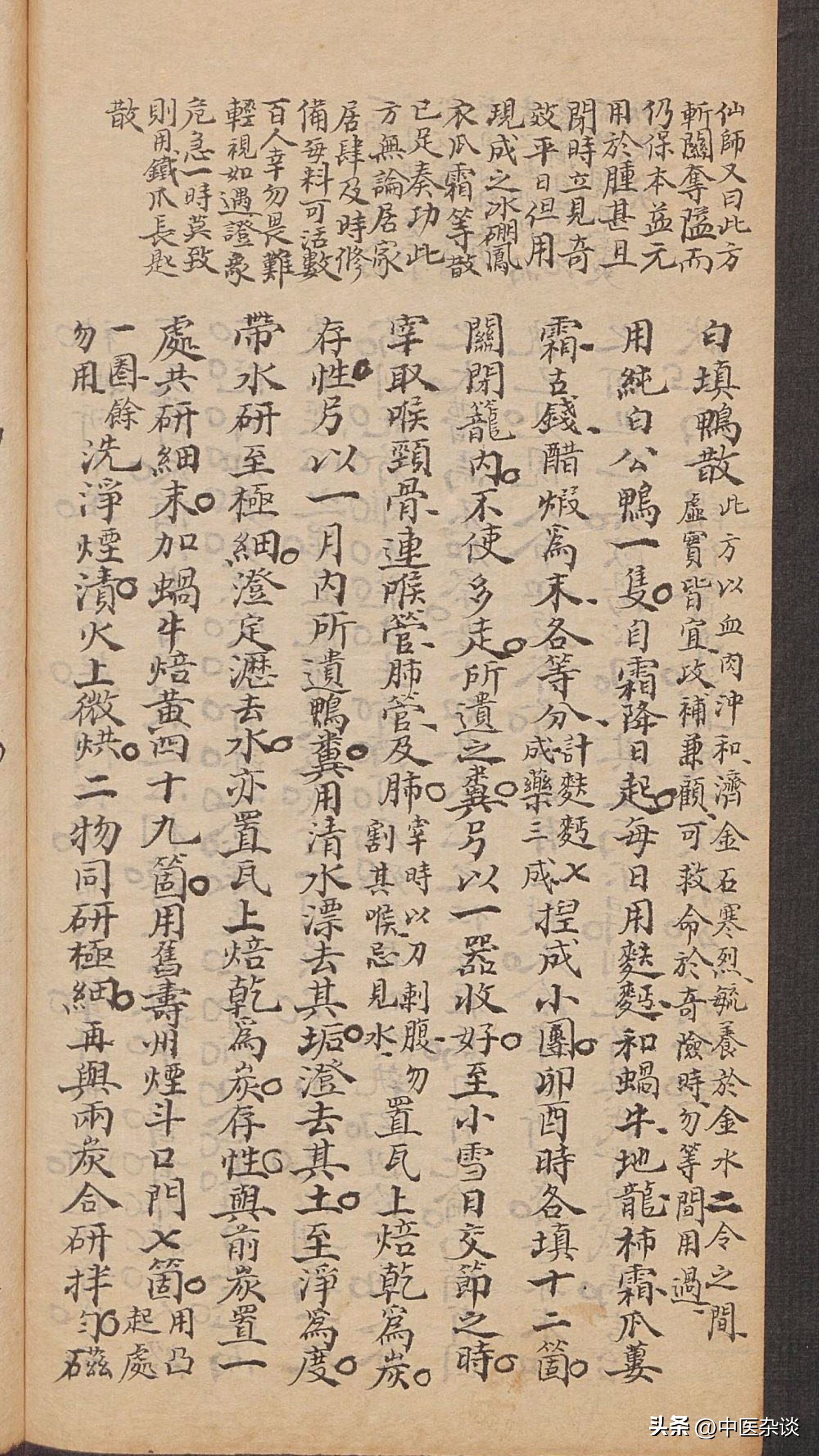 白喉中医经方,中医白喉的病机