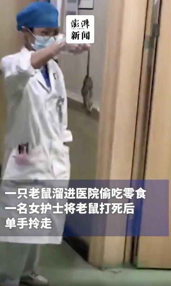 医院消灭老鼠小妙方,医院消灭老鼠的有效方法