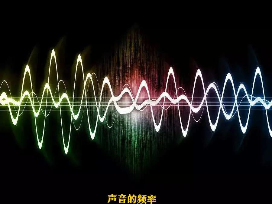 数学概率必修二第十章百分比,生物必修二遗传概率计算视频