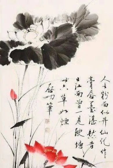启功荷花作品欣赏,启功《荷上花帖》