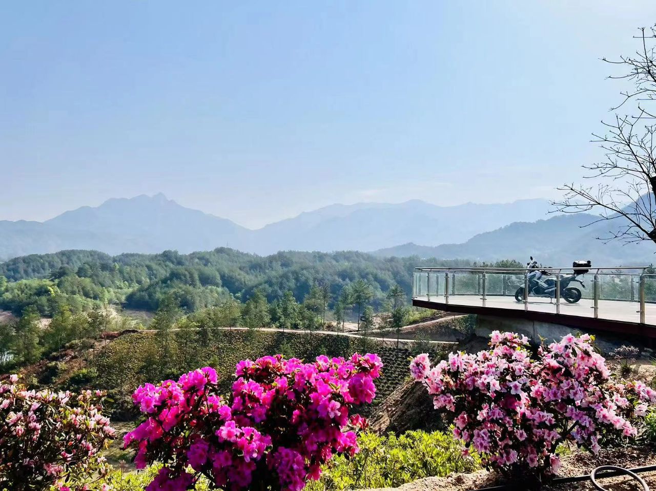 瞄准武汉市场，聚力“开门迎客”——罗田县“开门迎客”旅游精品线路在汉推介