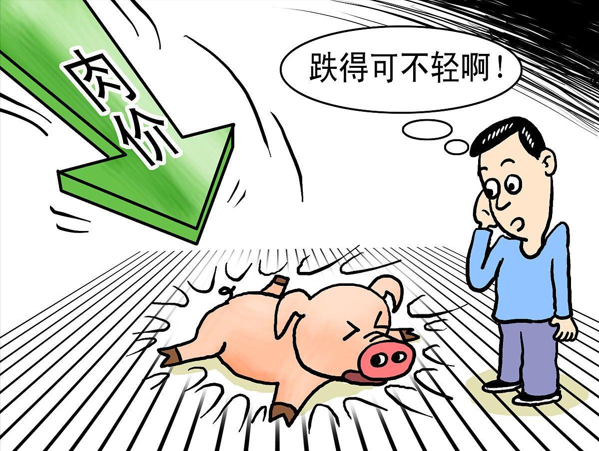猪价走势以及后市应对措施,猪价新一轮上涨到来警惕三个风险