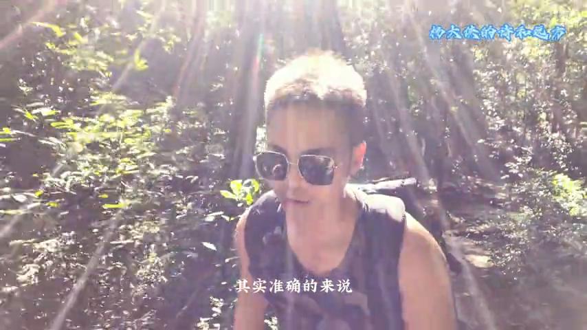 广东海岸线最漂亮的山,广东最高的山景点