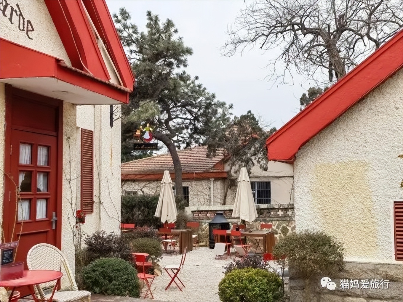 5天“趣”玩青岛，我的私藏遛娃路线