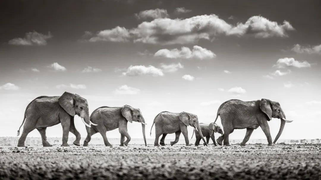 40张国际摄影奖顶尖作品震撼人心,世界摄影获奖人物震撼图