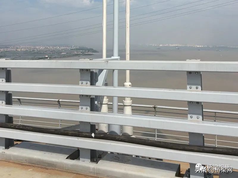 探“索”：不寻常的“辞旧迎新”——更换大跨径桥梁索专题访谈