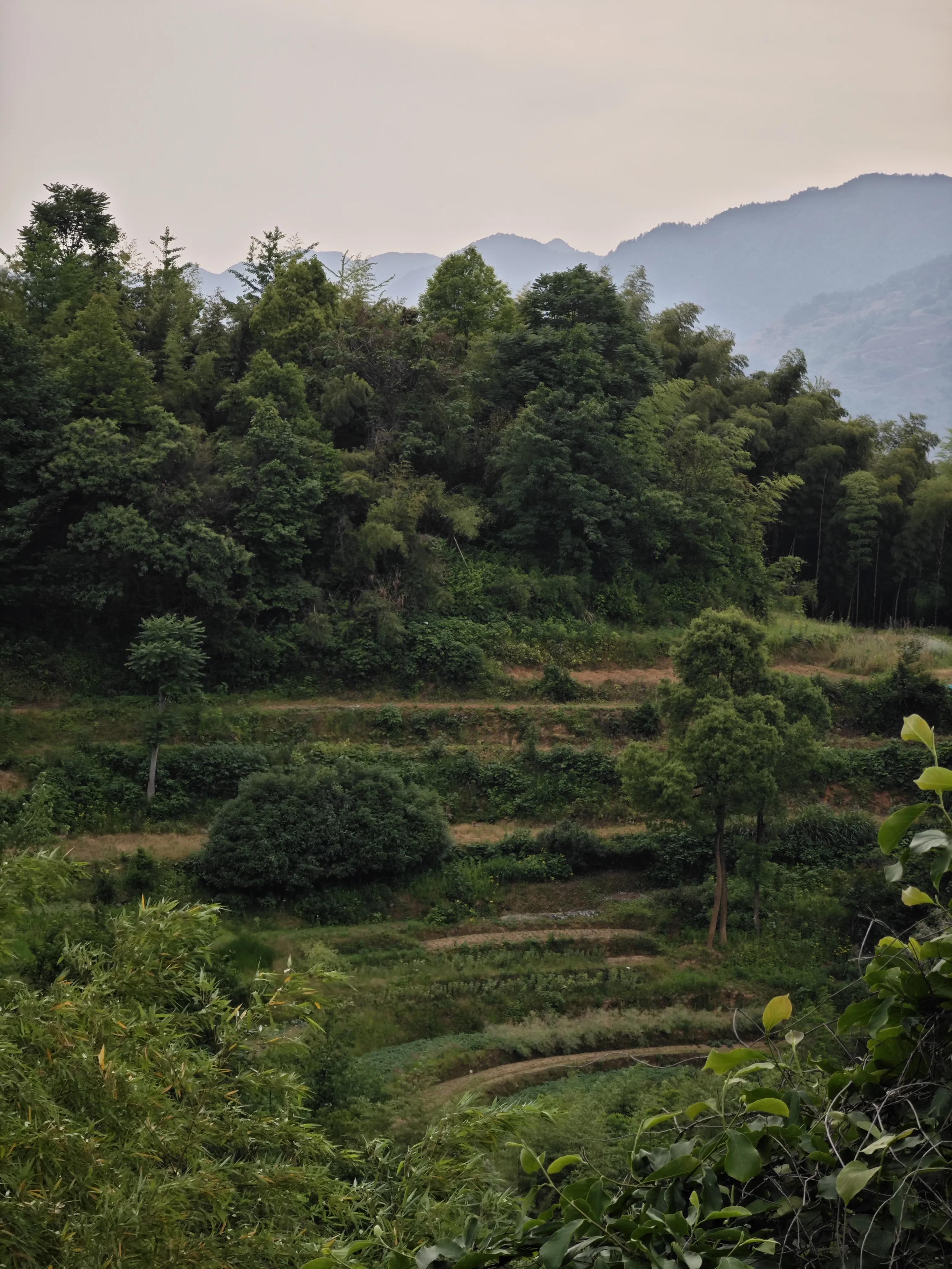 梯田里的绝美民宿欣赏,梯田观景最好的民宿