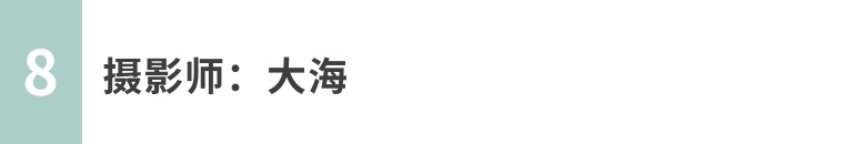 手机摄影作品欣赏夏荷之韵,夏荷摄影效果怎么样