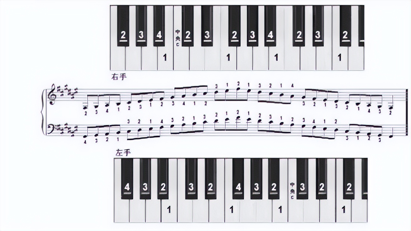 怎么学电子琴61键,怎么学电子琴成人班