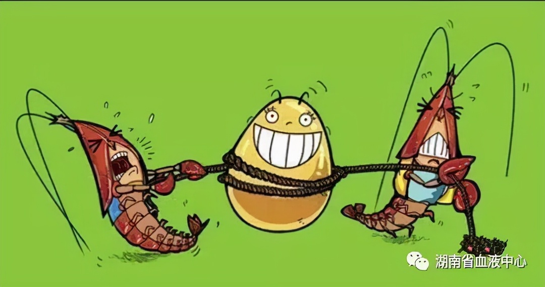 献血常识,献血常识知识