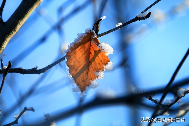南京妈妈味家常菜,冬日晚餐推荐家常菜