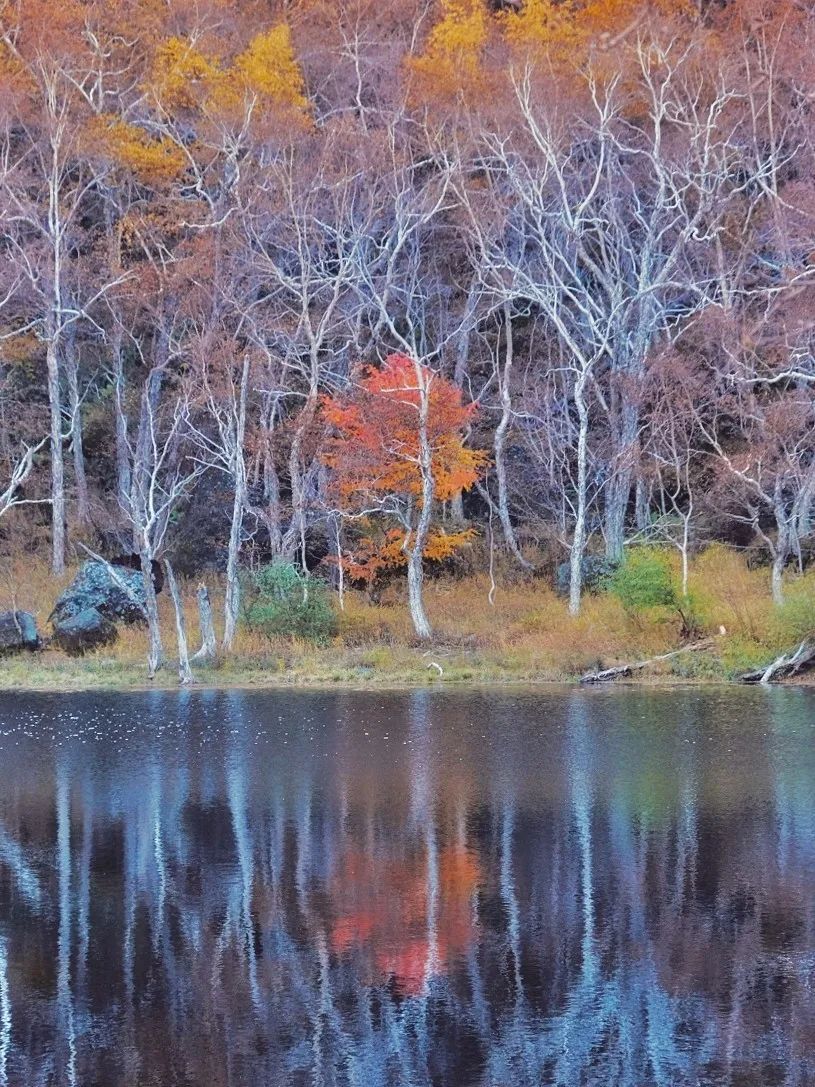 长白山的秋季,长白山夏天和秋天的区别