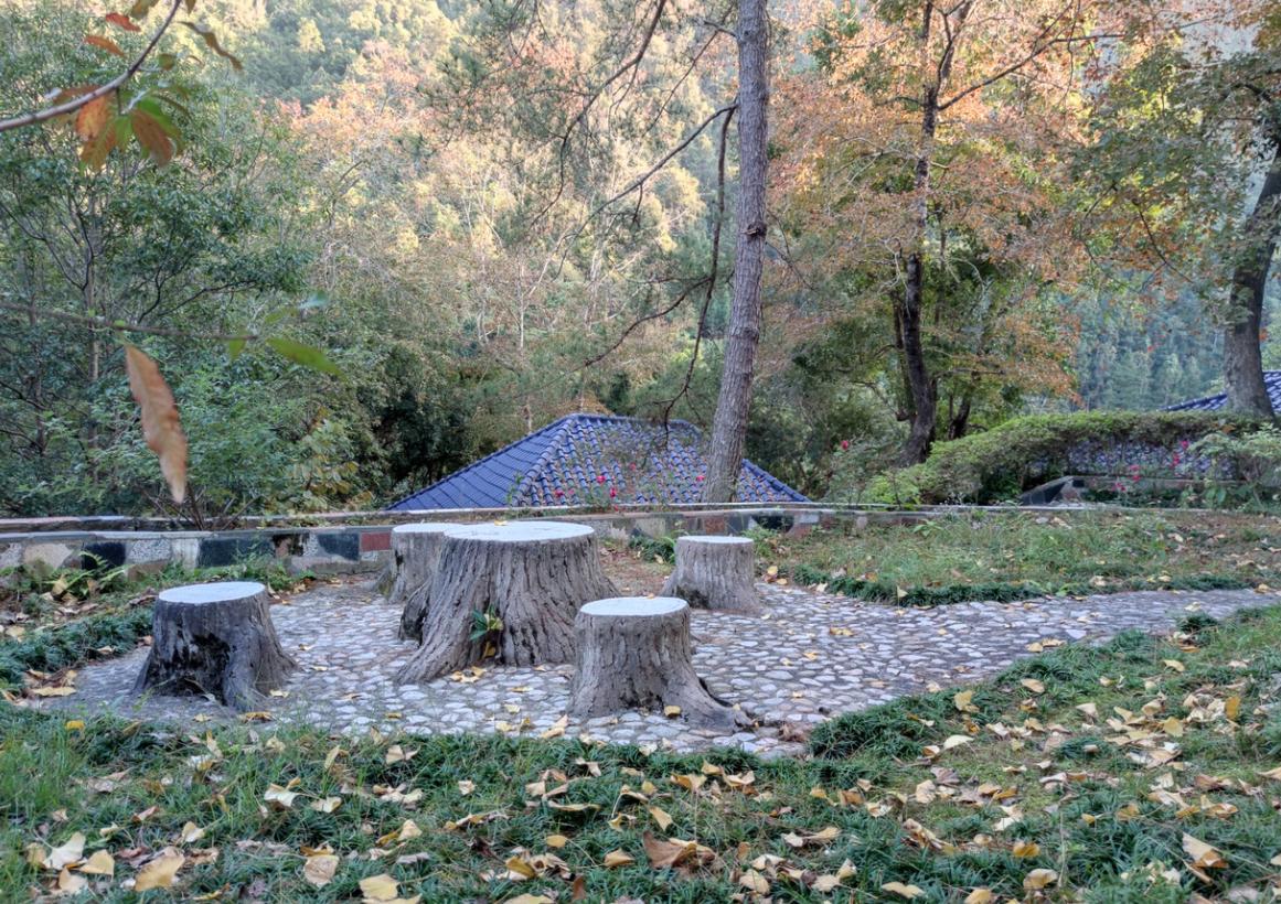 清远避暑温泉山庄,清远森林温泉