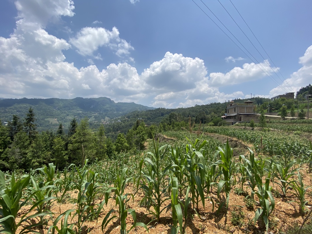 “养殖能手”汤安友：用勤劳的双手编织幸福人生