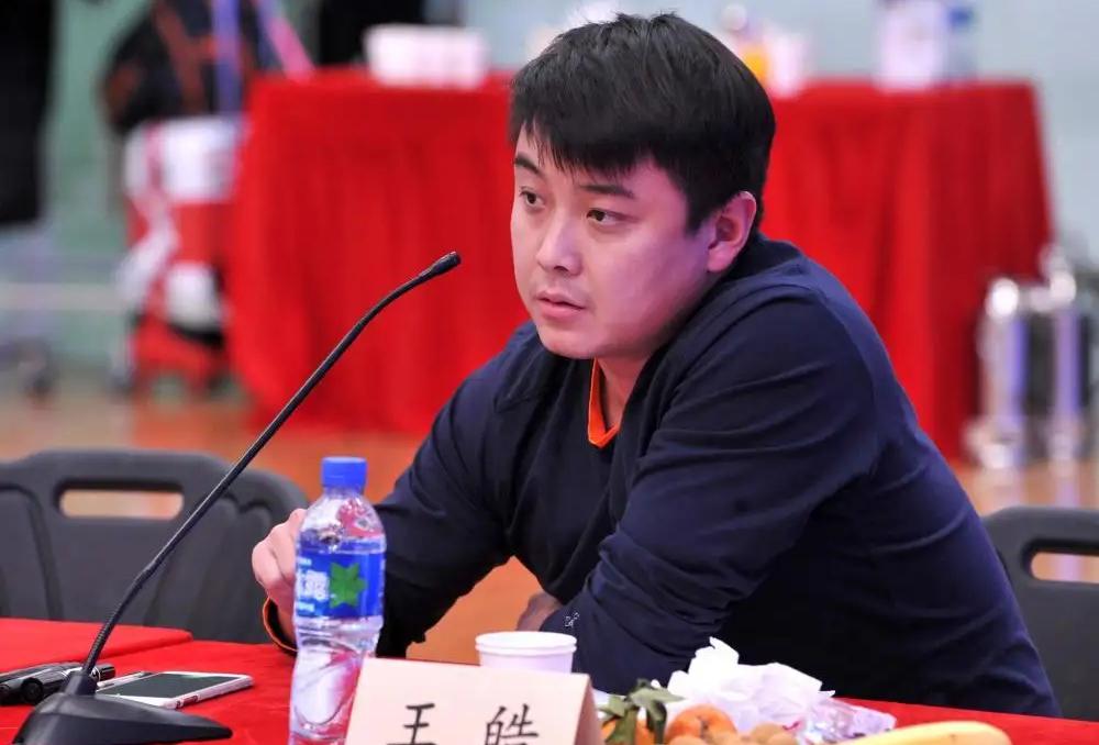 王皓当选男乒总教练,王皓当选国家队教练