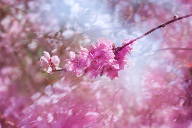 深处诡异梦境,想念孩子的父亲能不能回家?二十八