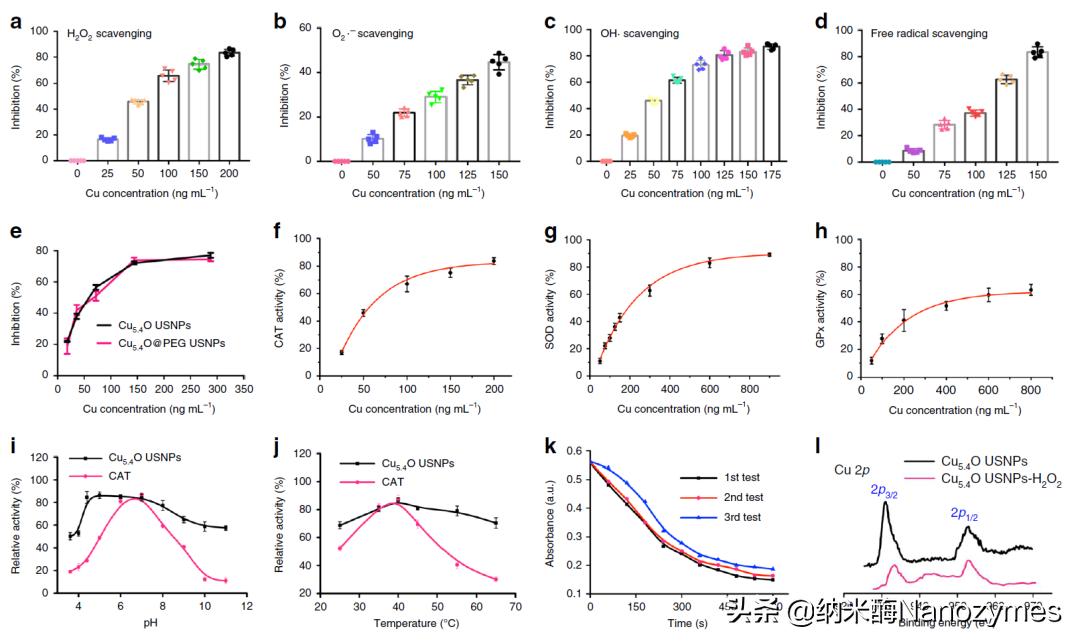 Nat.Commun.|超小铜基纳米酶清除活性氧及缓解炎症相关疾病
