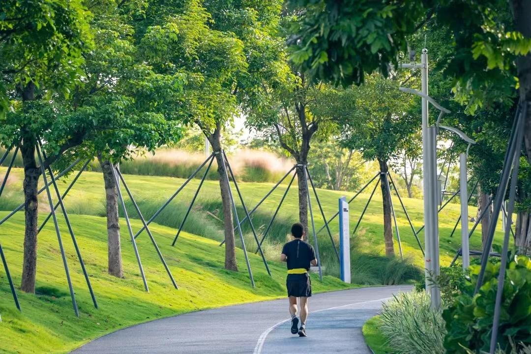 手里只有140万怎么在深圳买房,手握1000万买房