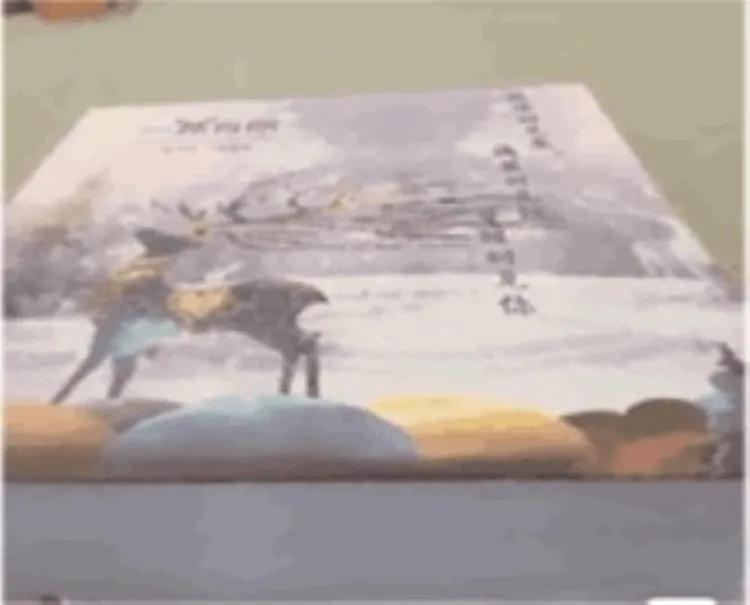 情侣搞笑奇葩礼物送什么,奇葩夫妻生日礼物送什么