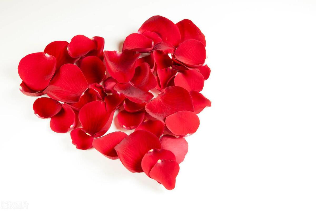 关于爱情的定义正确的是什么,德云社相声爱情哪有标准答案