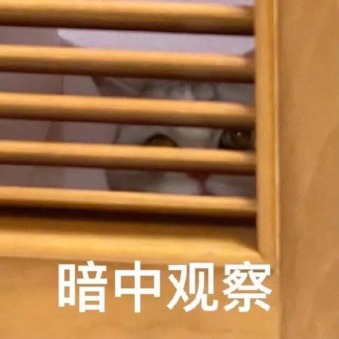 为什么掐着猫后脖子猫就不会动,为什么掐住猫咪的脖子后就不动了