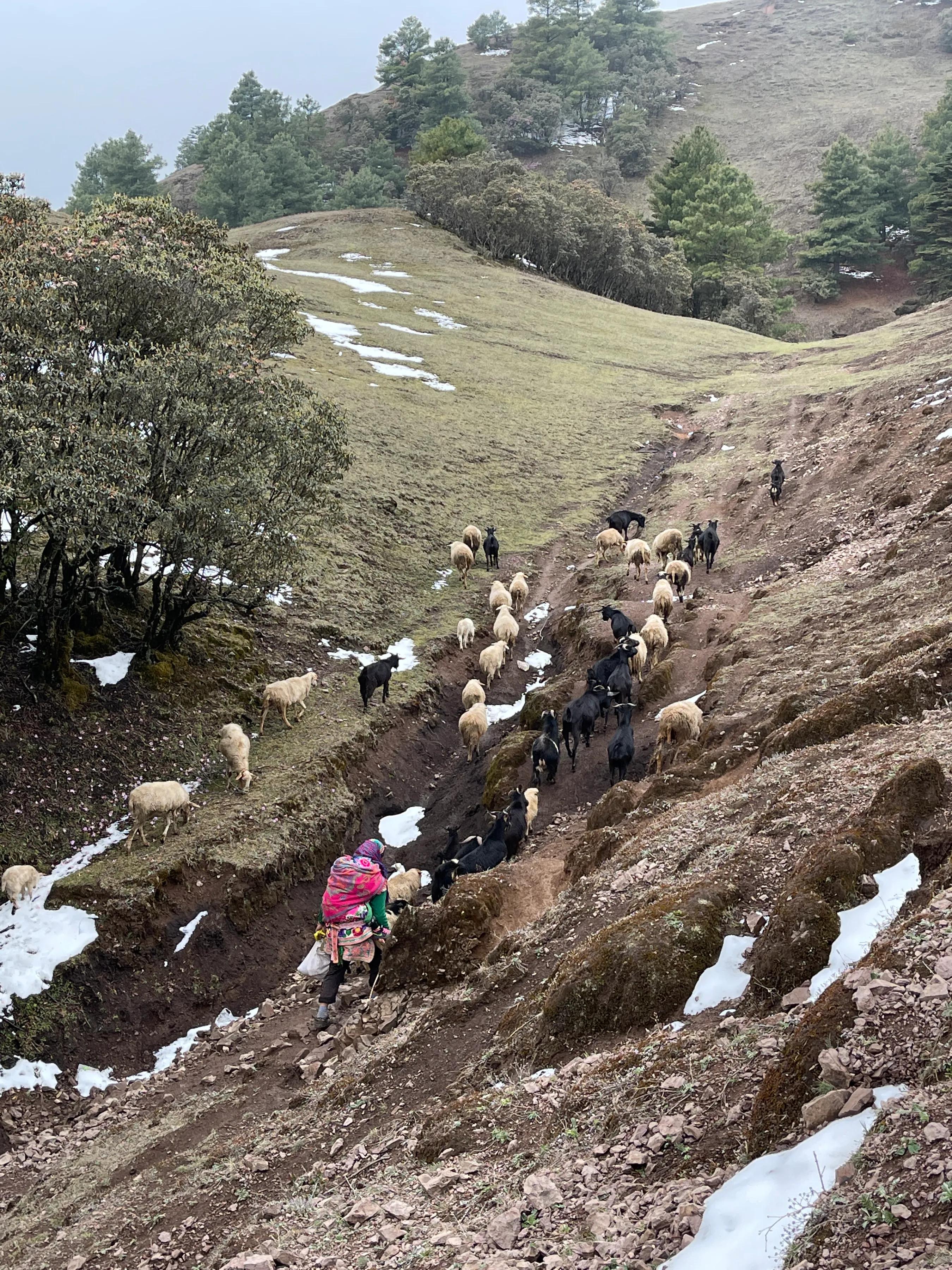 赶赴百草岭迎接夏天