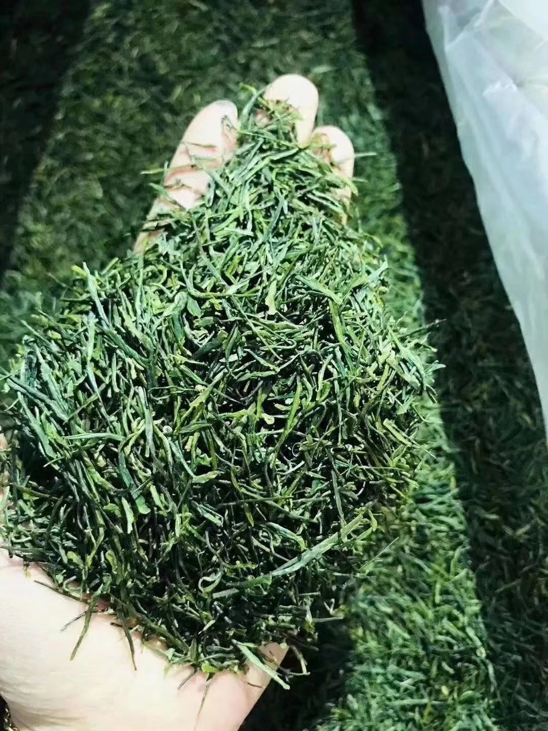 陆羽茶文化的发源地,哪里的茶被陆羽称为天下第一茶