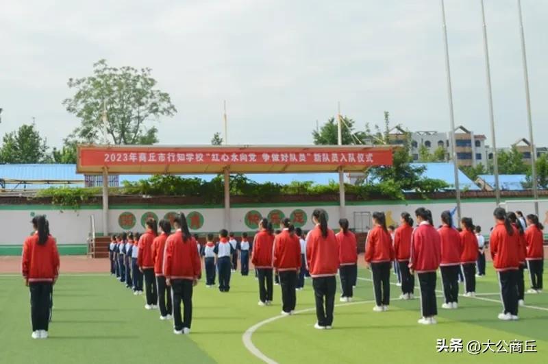 童心向党争做新时代好队员活动,童心向党争做新时代好队员