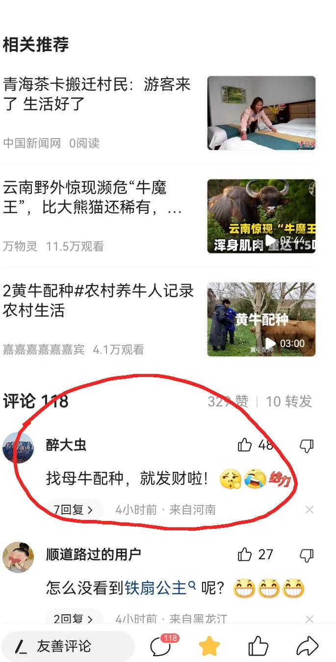 牛魔王闯进牛圈,云南牛魔王闯入农户牛圈