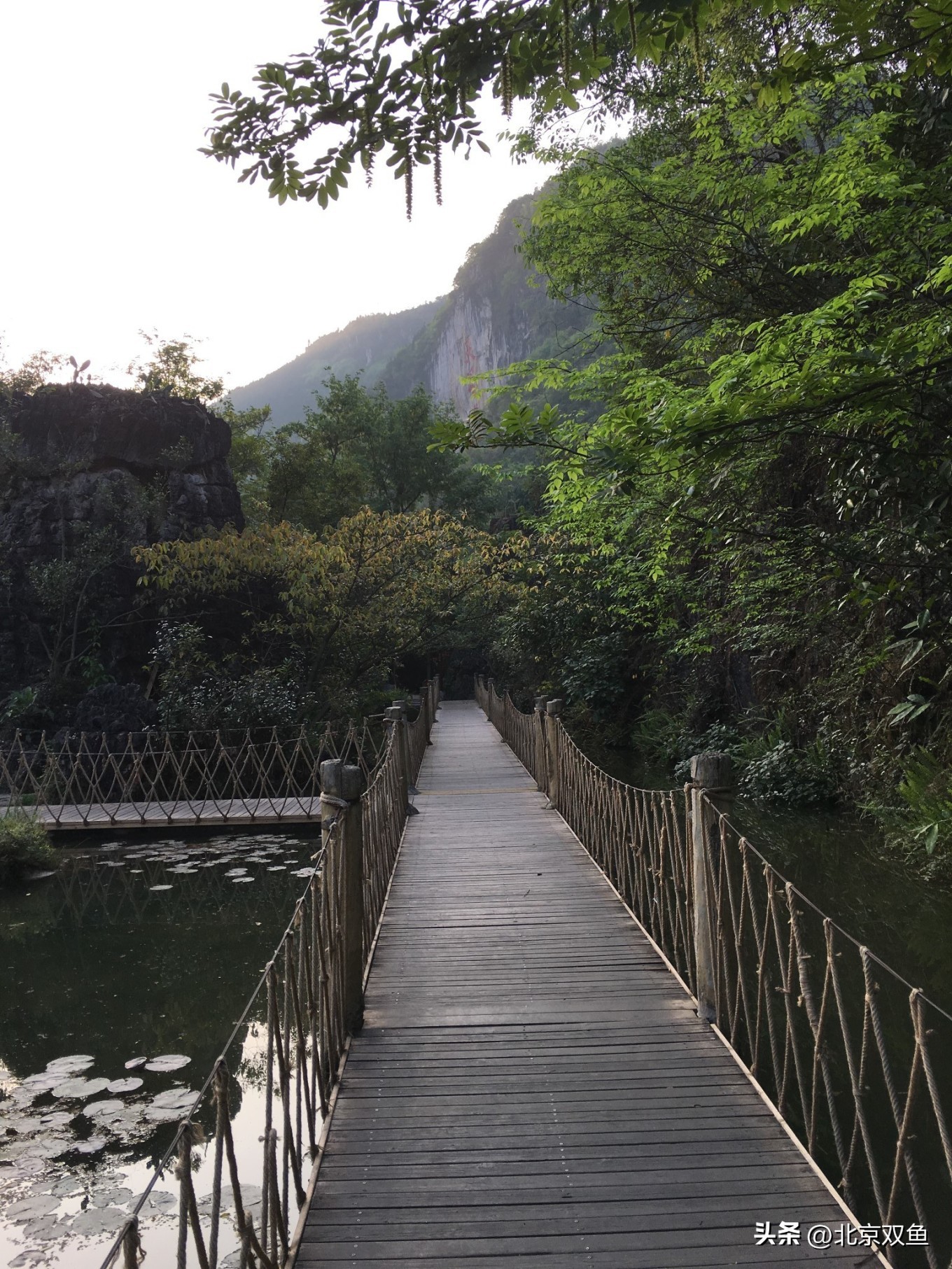 贵州黄果树最美的地方,贵州黄果树旅游攻略自由行