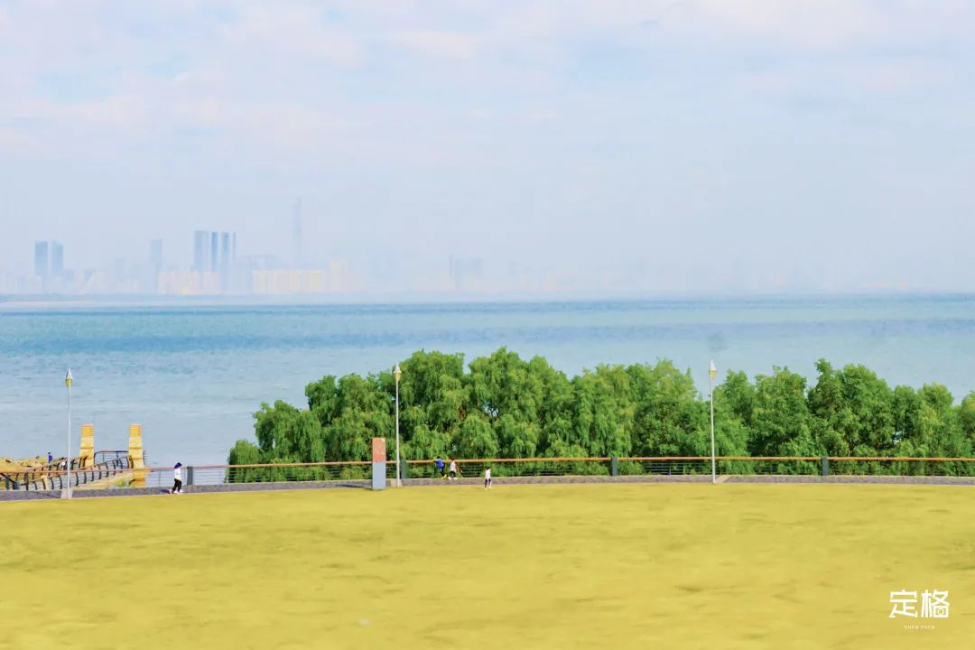 深圳周末带孩子免费游玩好去处,周末去哪玩推荐深圳