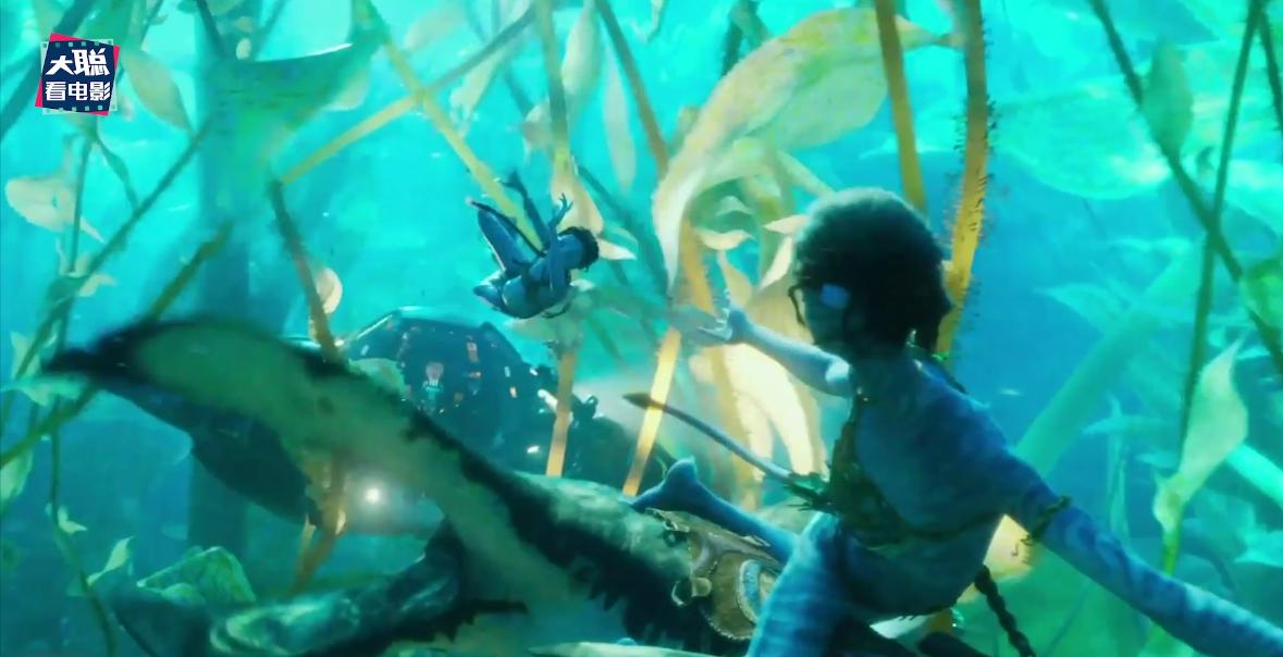 阿凡达2曝光全新中文海报及预告,外网曝阿凡达2预告