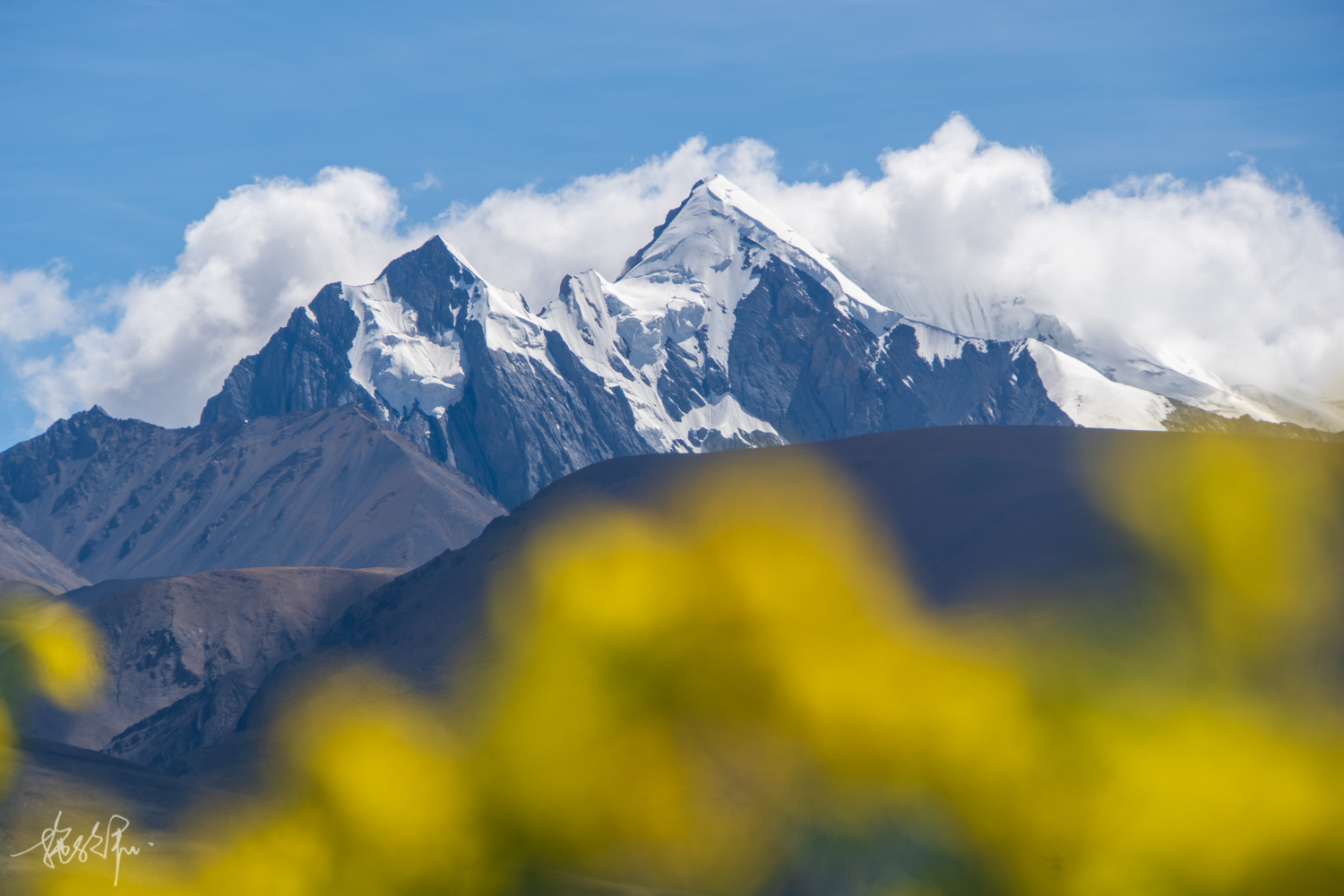 我的2022年度报告,我的2022原版