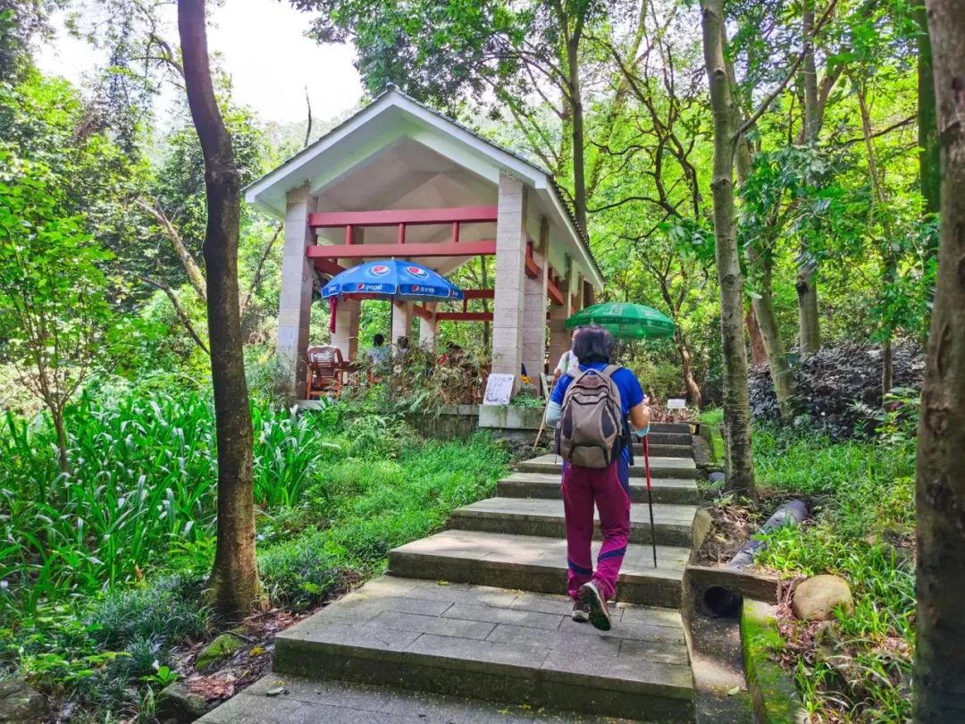 火炉山徒步登山路线图解,徒步中山铁炉山