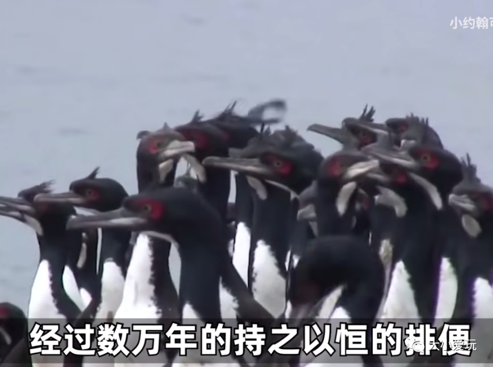 从科普到各学科，我们为孩子集齐了B站最强学习资源！记得收藏