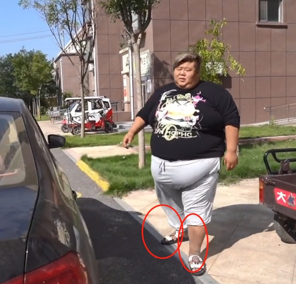 胖猴仔700斤,胖猴600斤