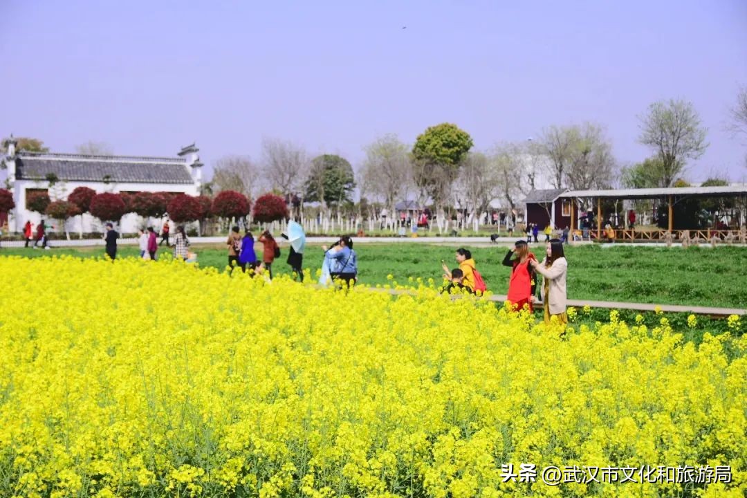 这8家景区免费或有优惠,8月景区门票优惠攻略大全