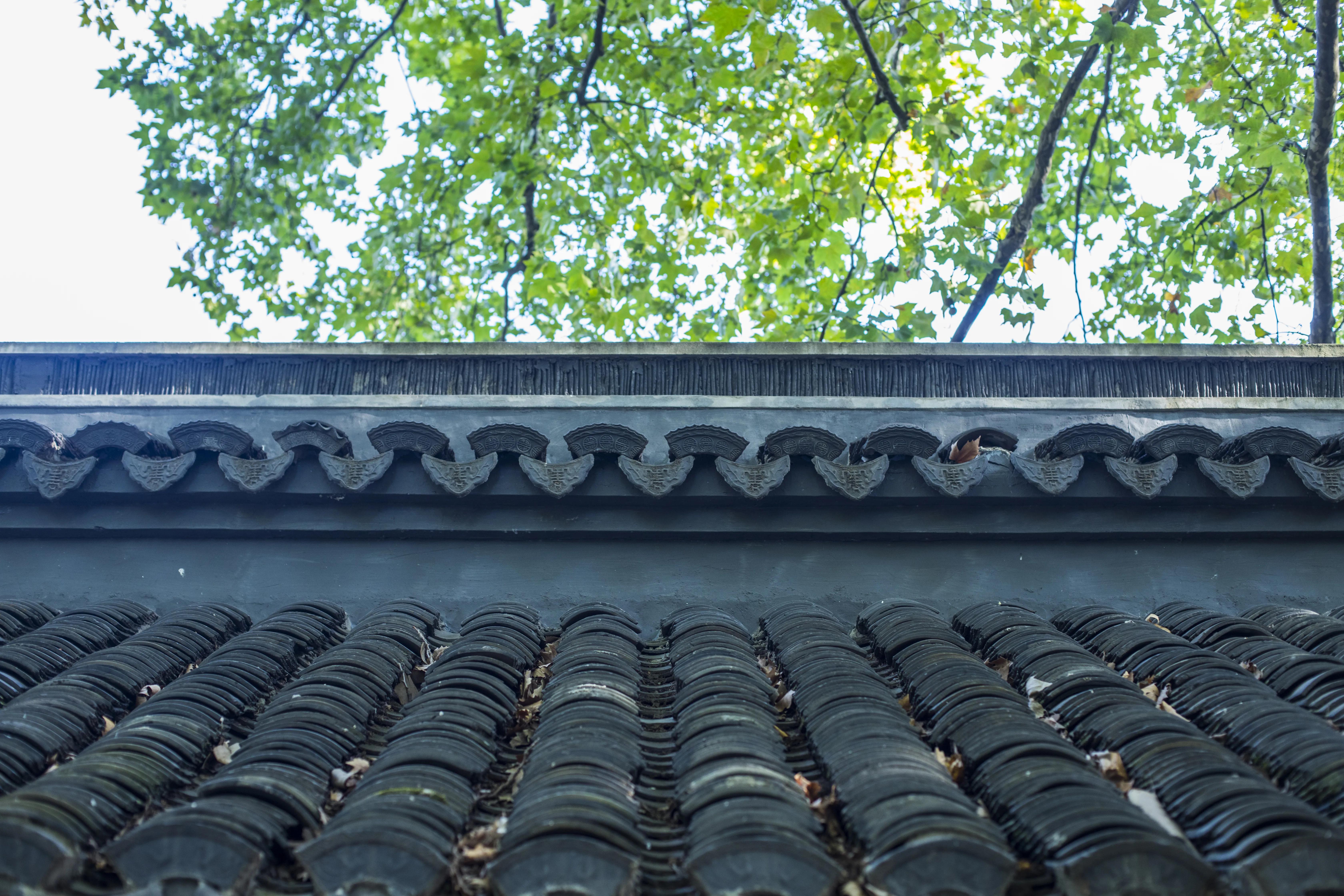 十二生肖每日运势猴,十二生肖每日运势大全