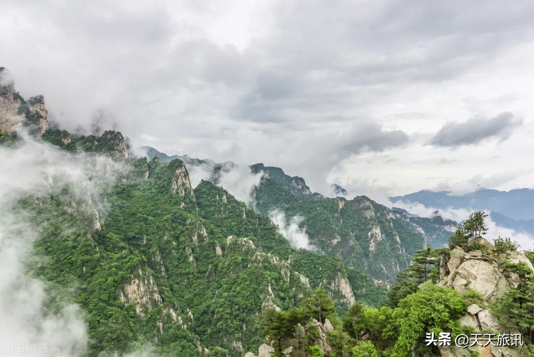 河南景点森林氧吧,河南五地入选中国天然氧吧