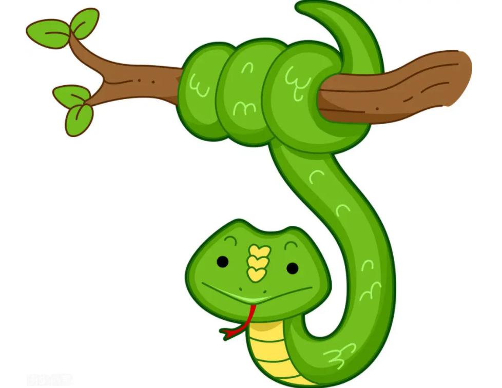 恐怖剧毒蛇吃蛇上演毒蛇互吞大战,罕见蛇吃蛇